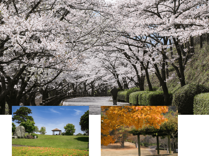 四季折々の美しい景色