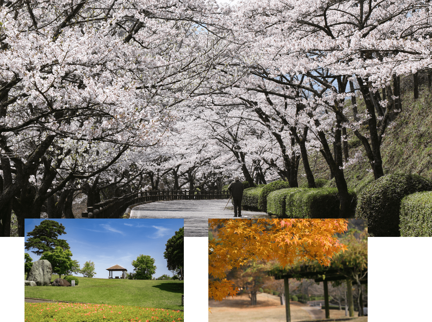 神山森林公園<br>イルローザの森は