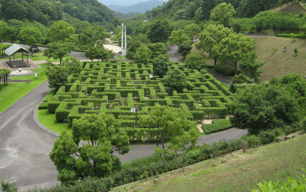 生垣迷路