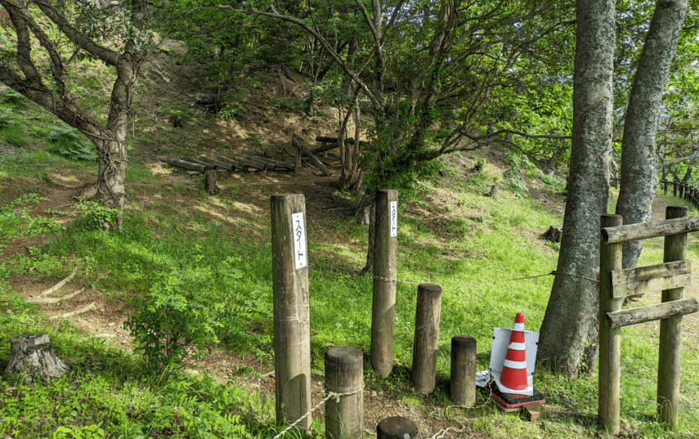 ターザンの森