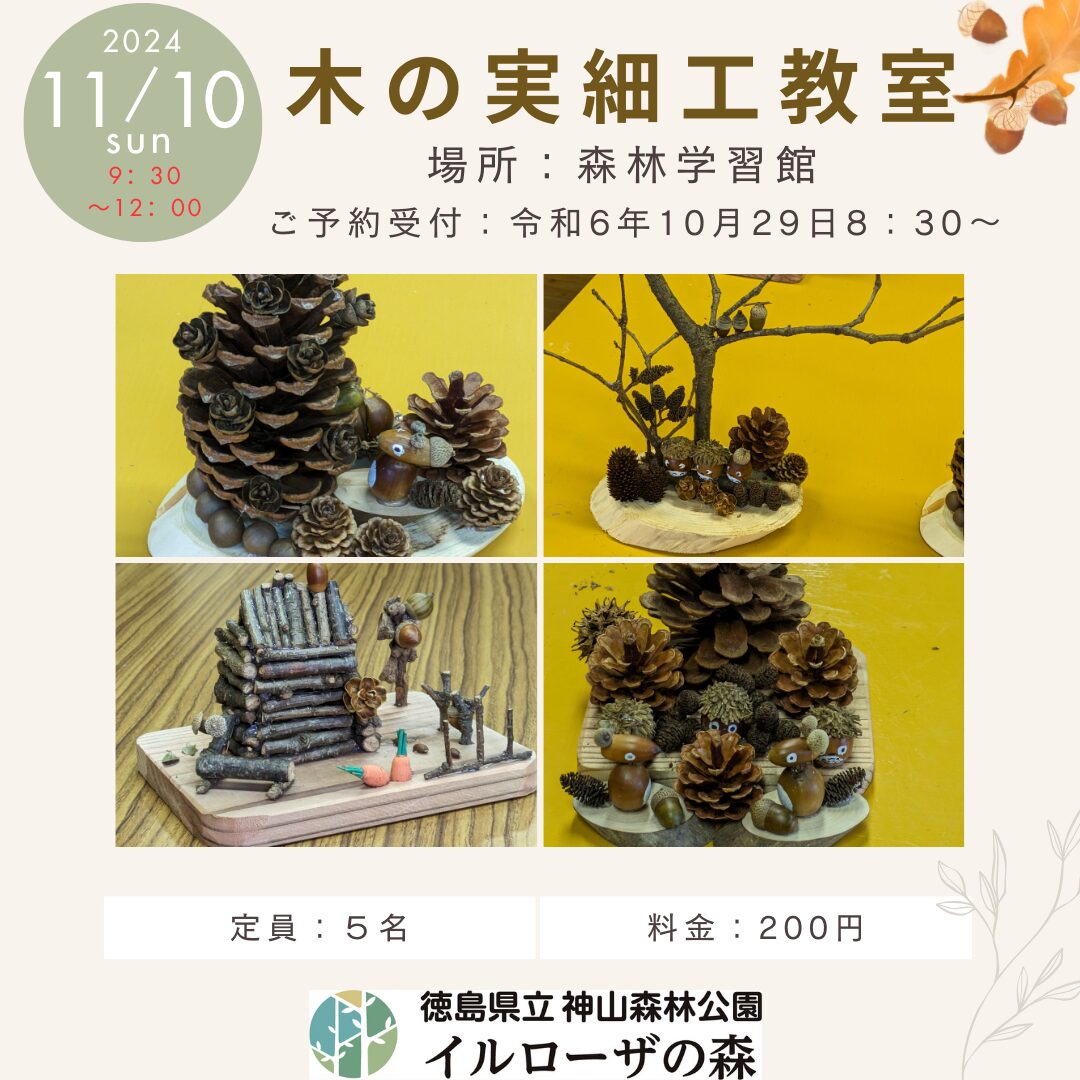 １１月１０日（日）『木の実細工教室』