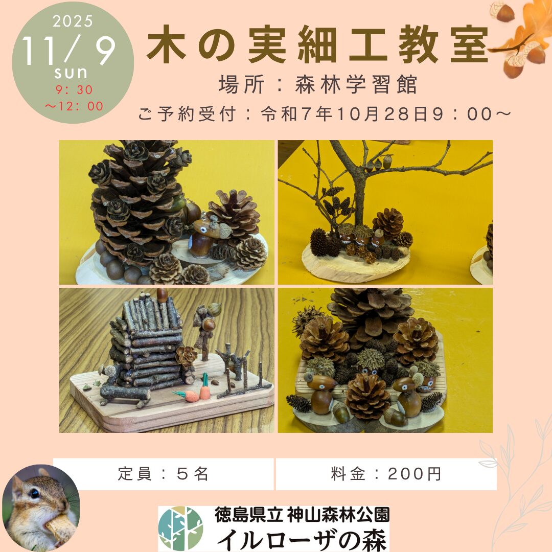 木の実細工教室