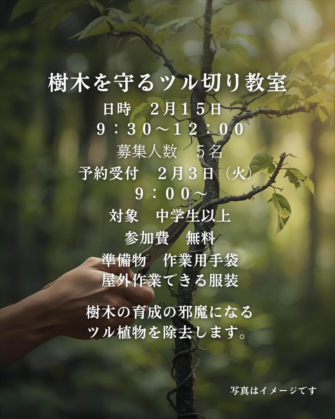 樹木を守るツル切り教室開催のお知らせ