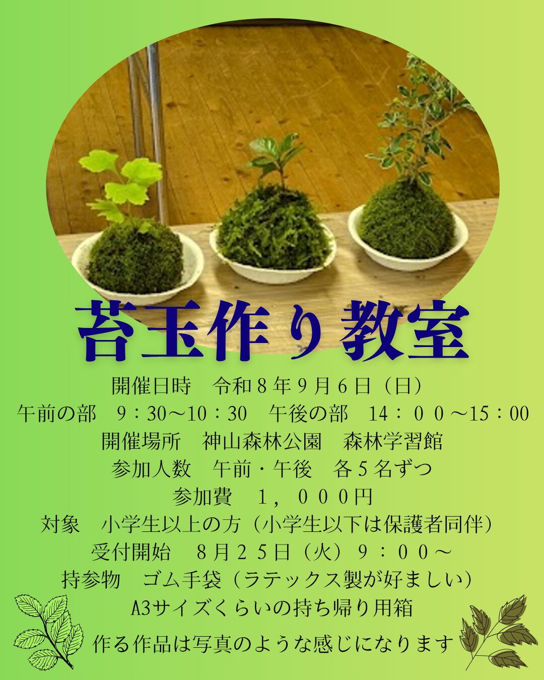 苔玉作り教室開催のお知らせ♪